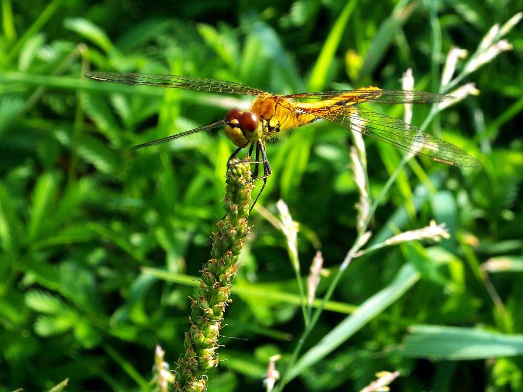 ���������.... ����� ������  �� PhotoGeek.ru #�����