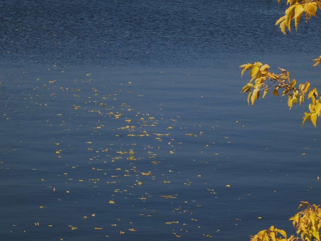 ������ �������... ����� ������  �� PhotoGeek.ru #������ ��� �������