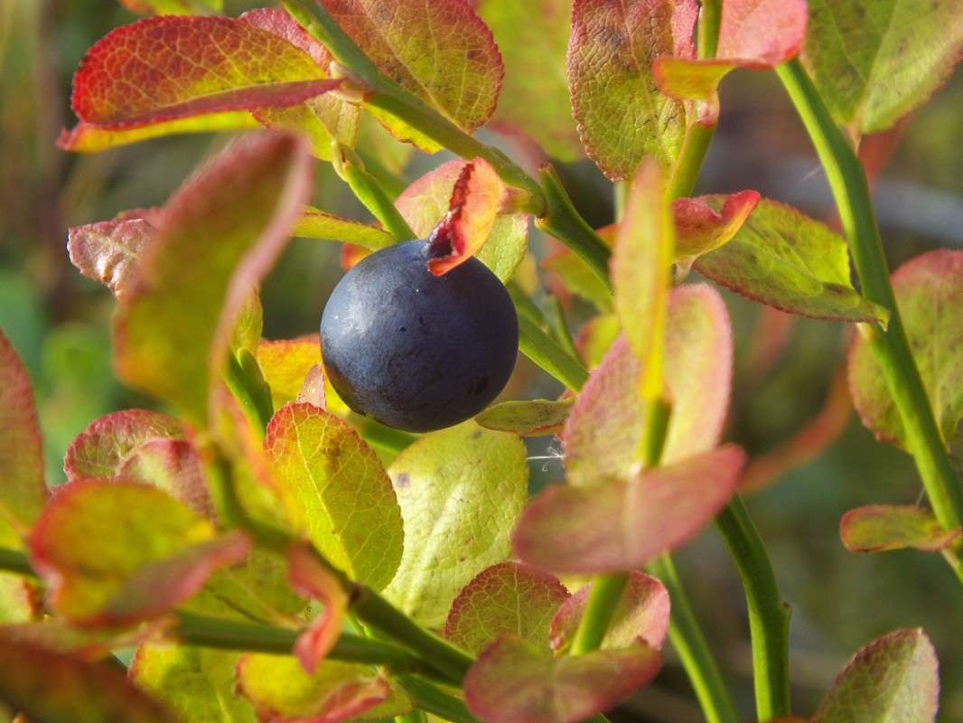 ������ ����� ������  �� PhotoGeek.ru #������ ��� �������