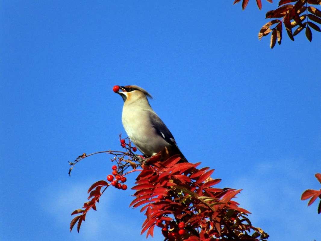 ���� ����� ������  �� PhotoGeek.ru #�������� ���