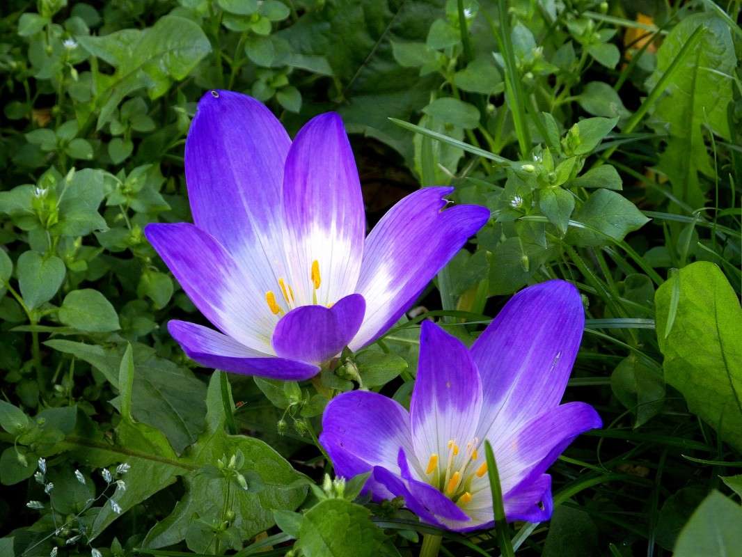 .......... ����� ������  �� PhotoGeek.ru #������ ��� �������