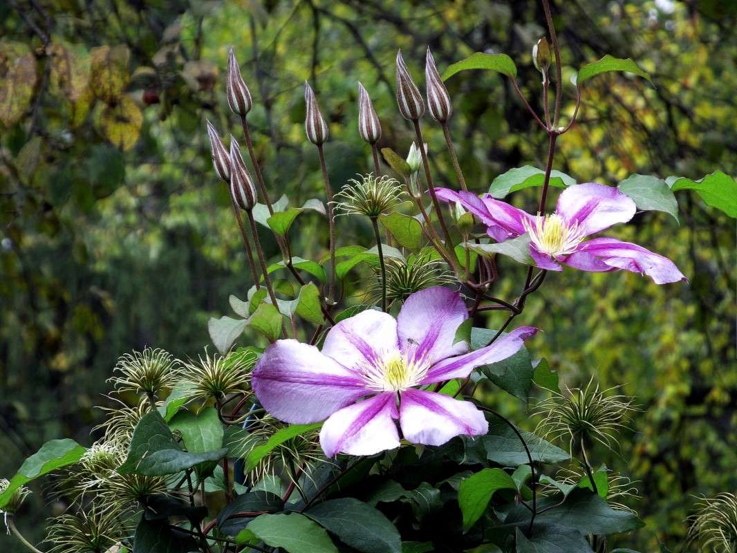 .............. ����� ������  �� PhotoGeek.ru #������ ��� �������