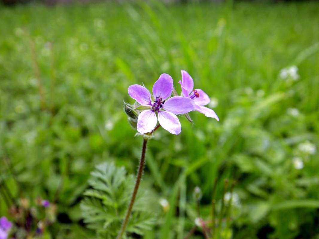 ............ ����� ������  �� PhotoGeek.ru #������ ��� �������