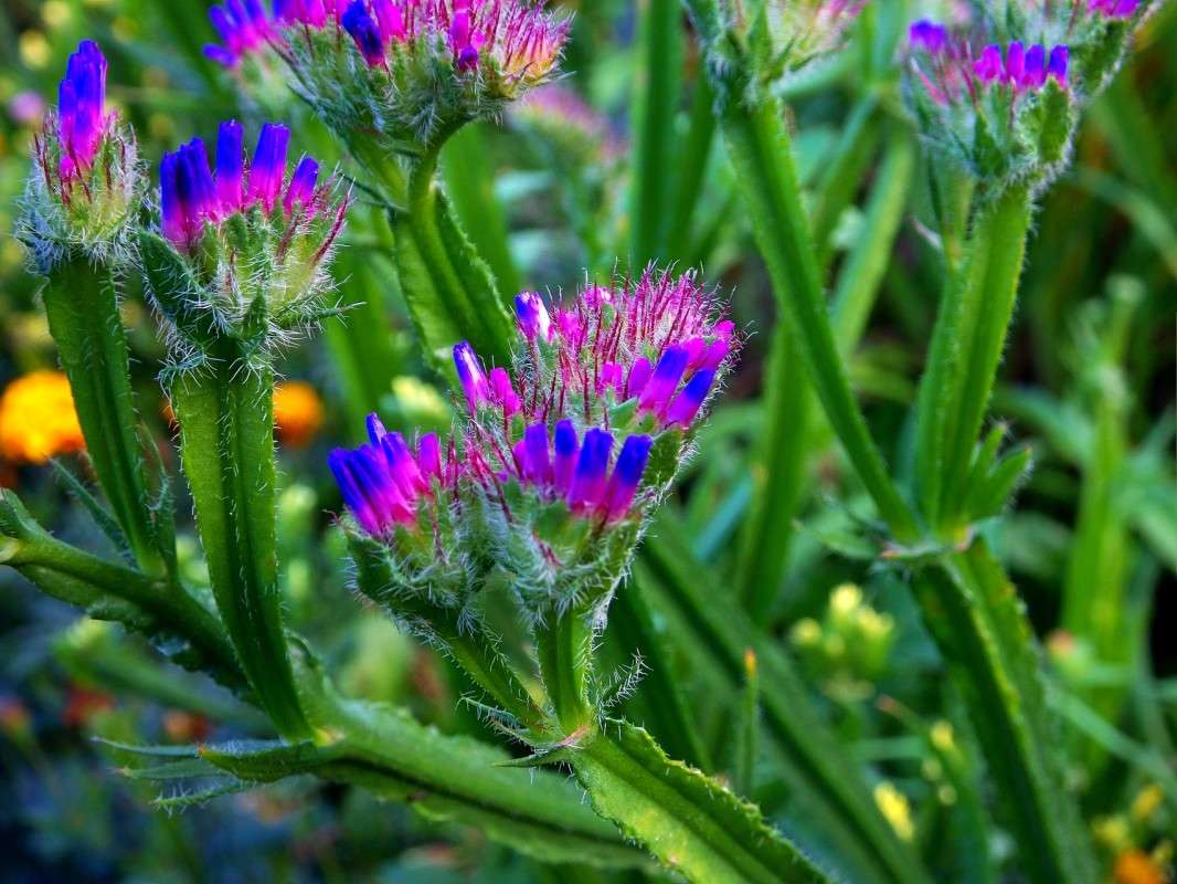 .......... ����� ������  �� PhotoGeek.ru #������ ��� �������