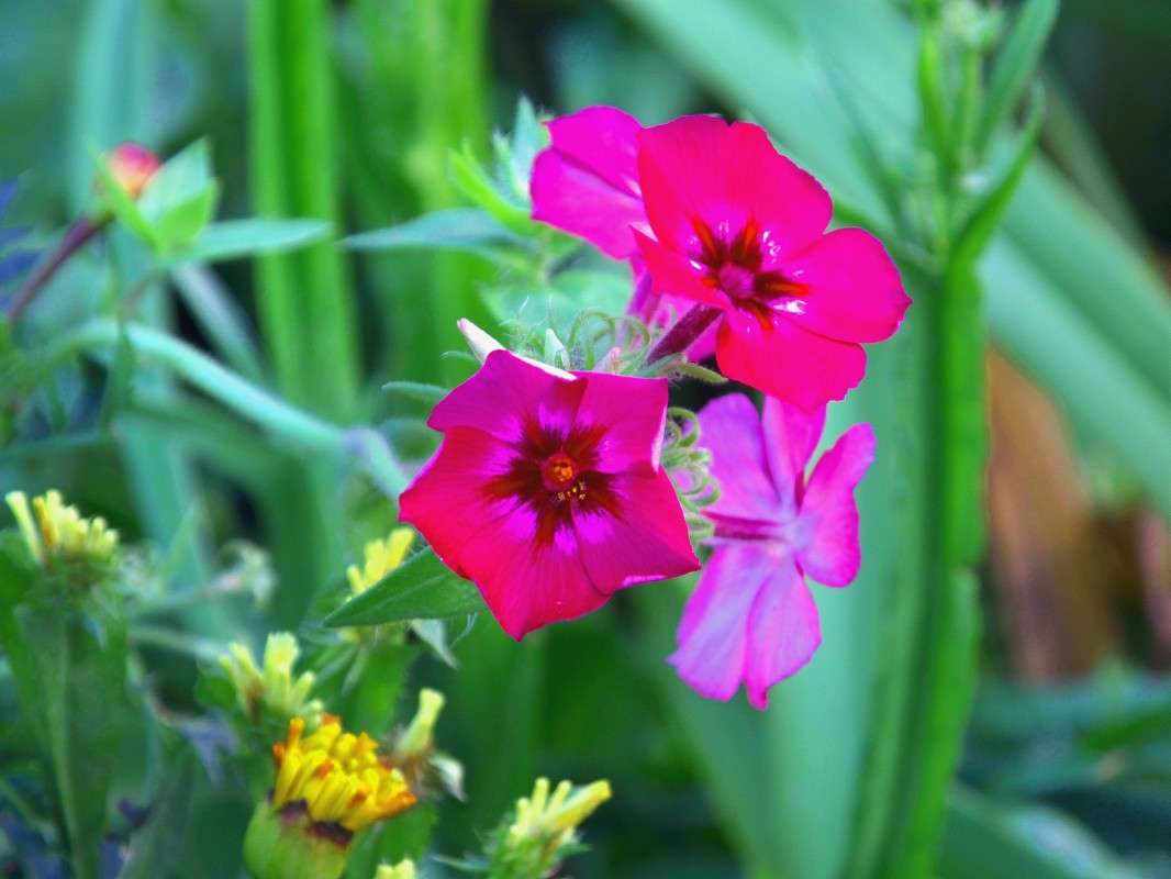 ........... ����� ������  �� PhotoGeek.ru #������ ��� �������