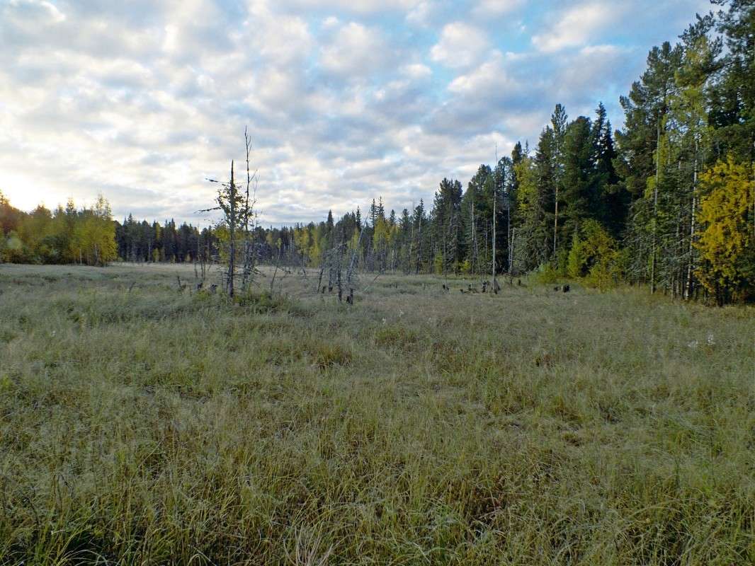 ����..... ����� ������  �� PhotoGeek.ru #������ ��� �������