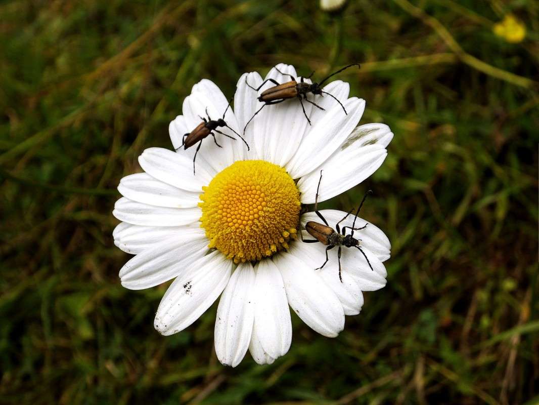 �������� ����� ������  �� PhotoGeek.ru #�����