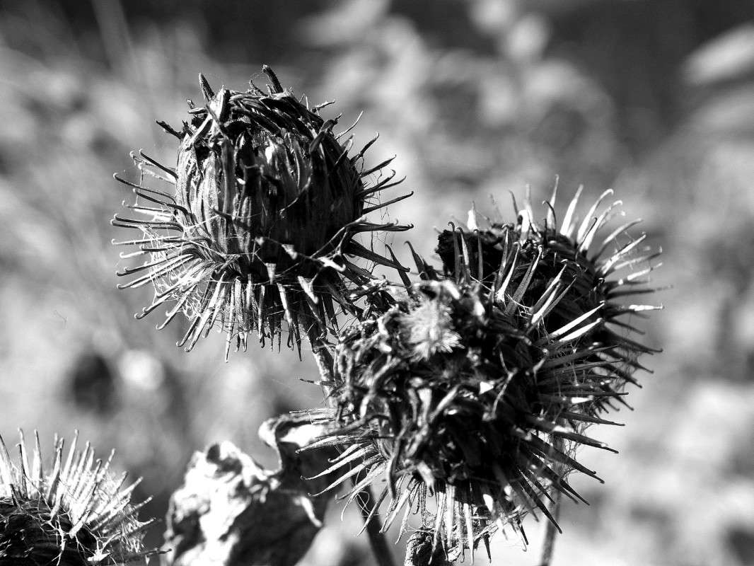 ������� ����� ������  �� PhotoGeek.ru #������ ��� �������