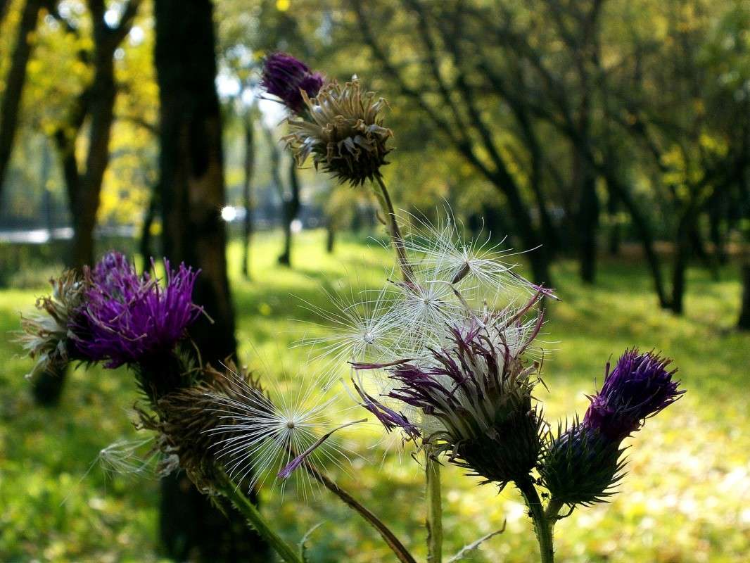 � ����� ������.... ����� ������  �� PhotoGeek.ru #������ ��� �������