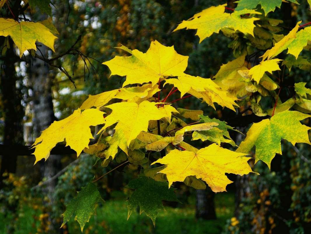 ������ ������....... ����� ������  �� PhotoGeek.ru #������ ��� �������