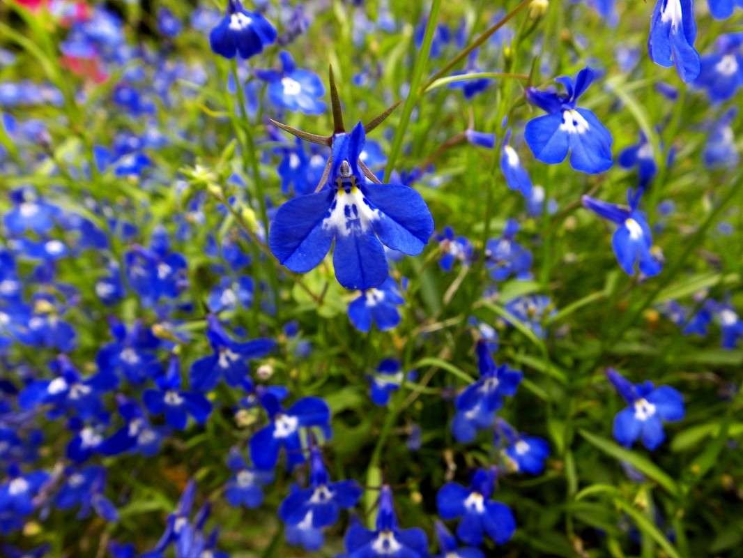 �������.... ����� ������  �� PhotoGeek.ru #������ ��� �������