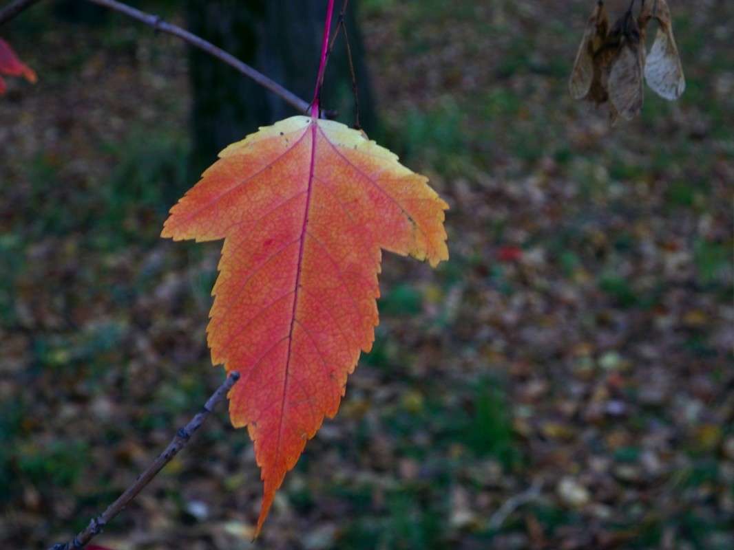 ���� �� ��������� ����� ������  �� PhotoGeek.ru #������ ��� �������