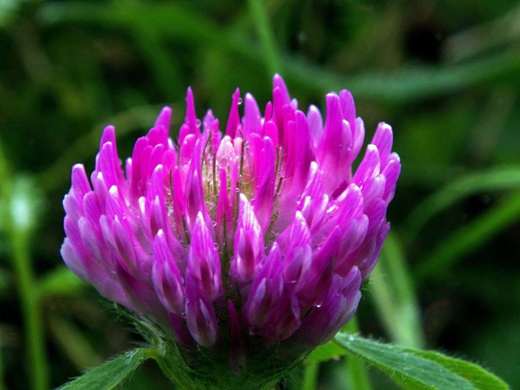 ........ ����� ������  �� PhotoGeek.ru #������ ��� �������