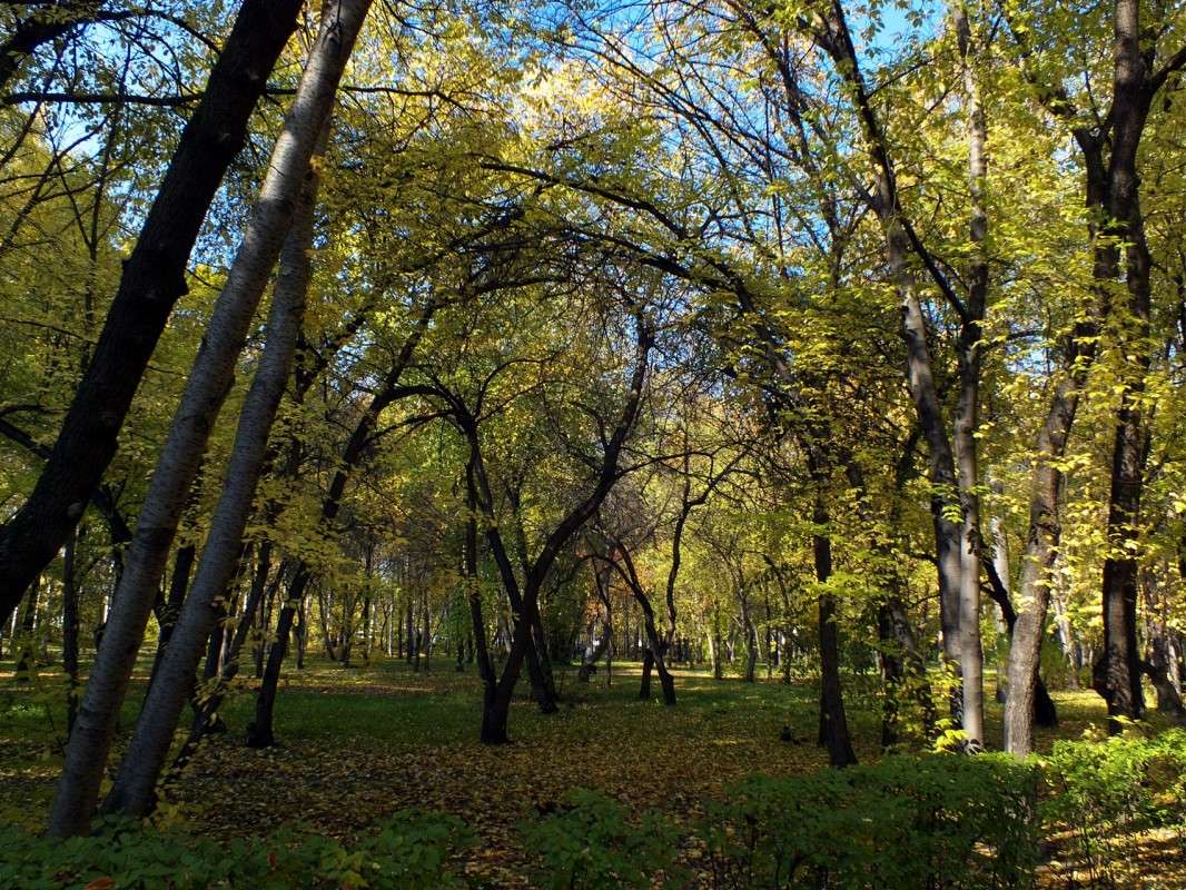 ���� �������� ��� ���...... ����� ������  �� PhotoGeek.ru #������ ��� �������