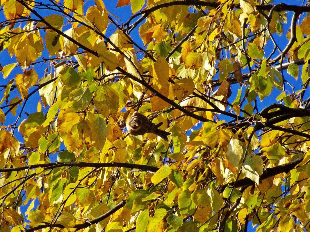 ����� ����� ������  �� PhotoGeek.ru #�������� ���