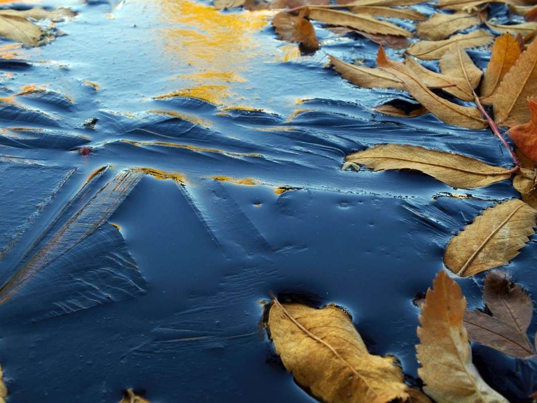 ������ �� ����� ������  �� PhotoGeek.ru #������ ��� �������