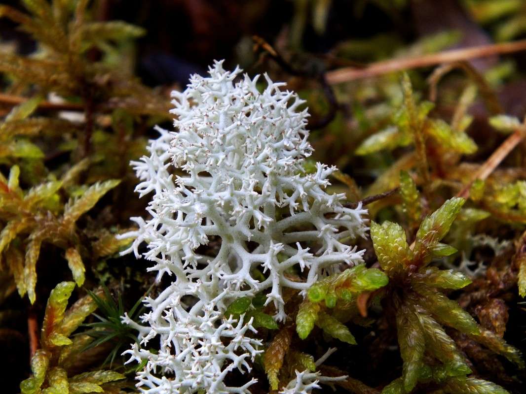 ��� ��� ����� ������  �� PhotoGeek.ru #������ ��� �������