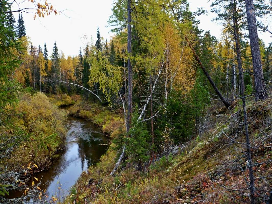 ����� ����� ����� ������  �� PhotoGeek.ru #������ ��� �������