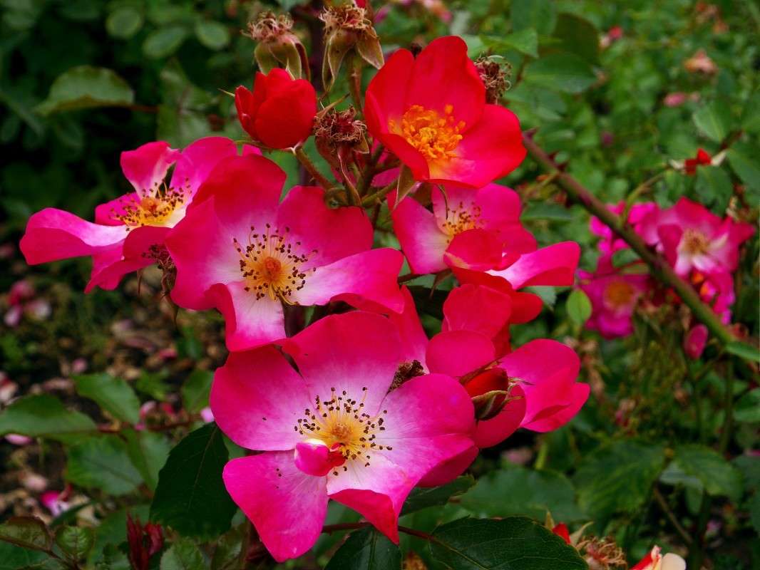 ��������� �������� ����� ������  �� PhotoGeek.ru #������ ��� �������