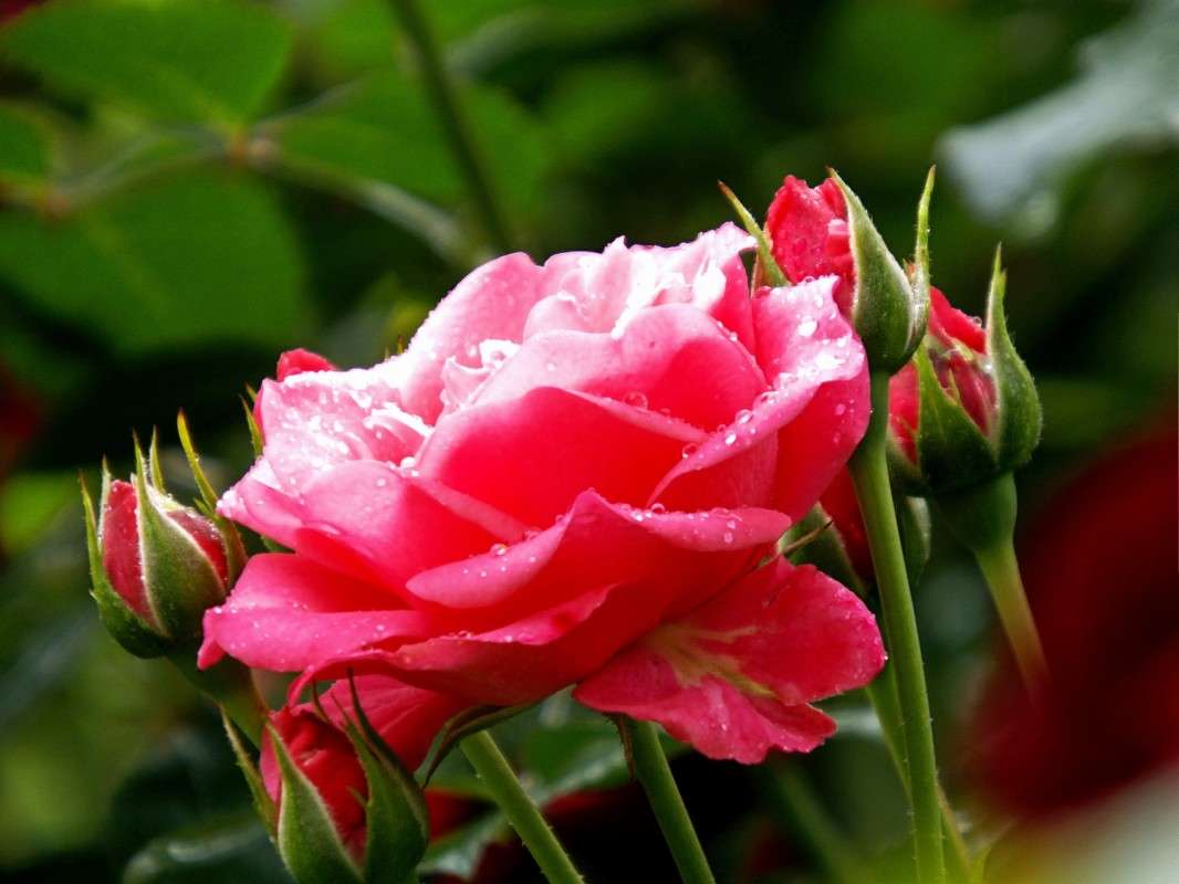 ���� ��������� ����� ������  �� PhotoGeek.ru #������ ��� �������