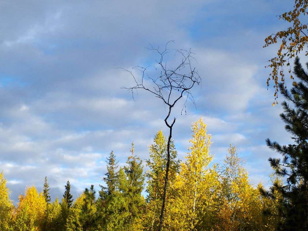 �����... ����� ������  �� PhotoGeek.ru #������ ��� �������