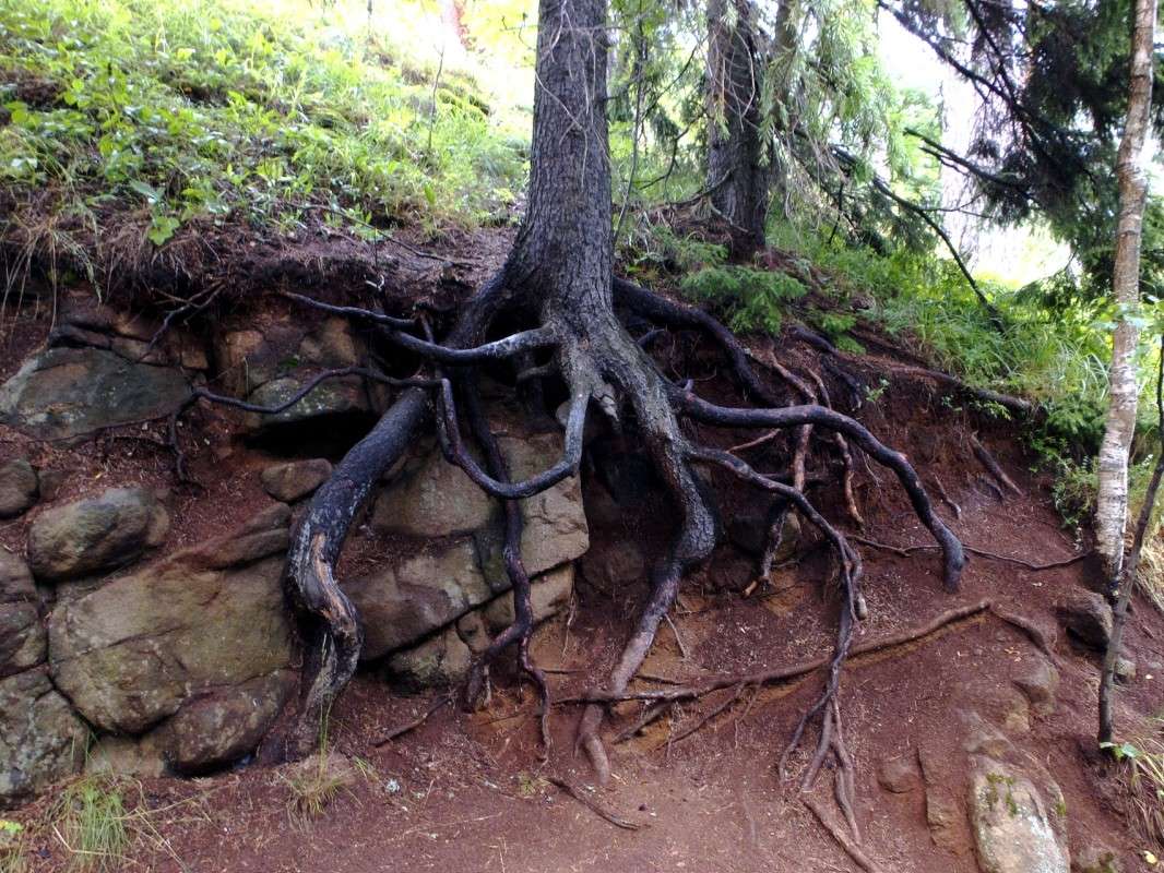 ���������� ����� ����� ������  �� PhotoGeek.ru #������ ��� �������