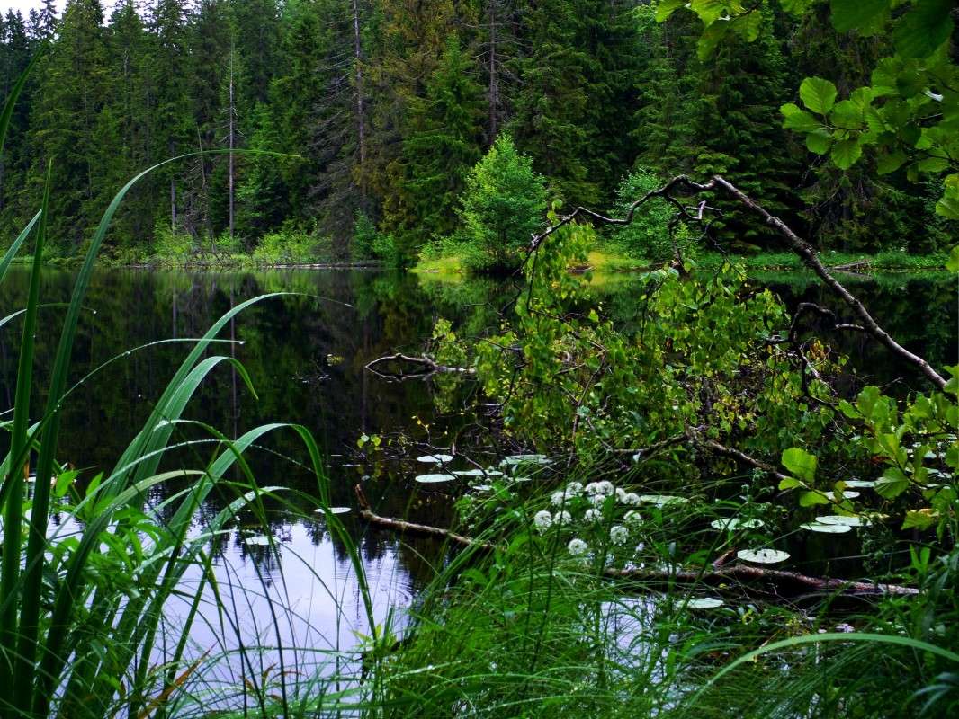 ���������� ���� ����� ������  �� PhotoGeek.ru #������ ��� �������