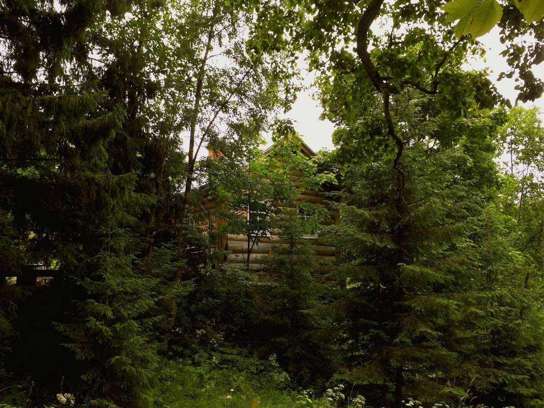 ���� � ���� �� ���� ����� ������  �� PhotoGeek.ru #������ ��� �������