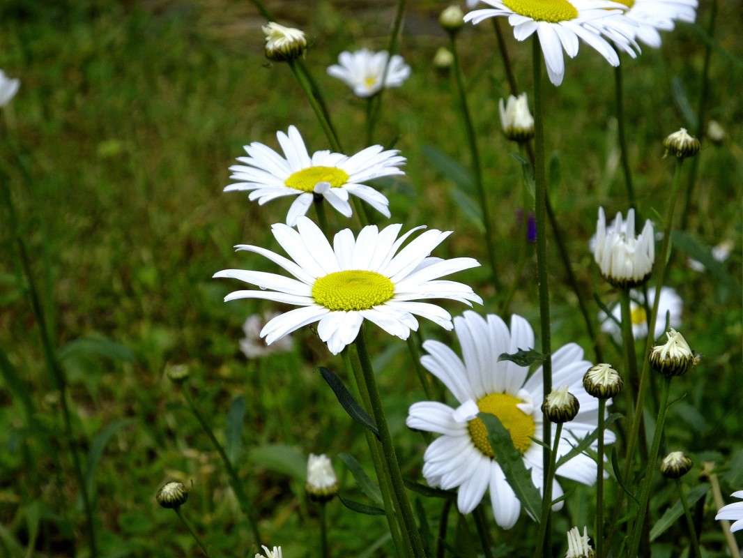 ����� ������ ����� ������  �� PhotoGeek.ru #������ ��� �������