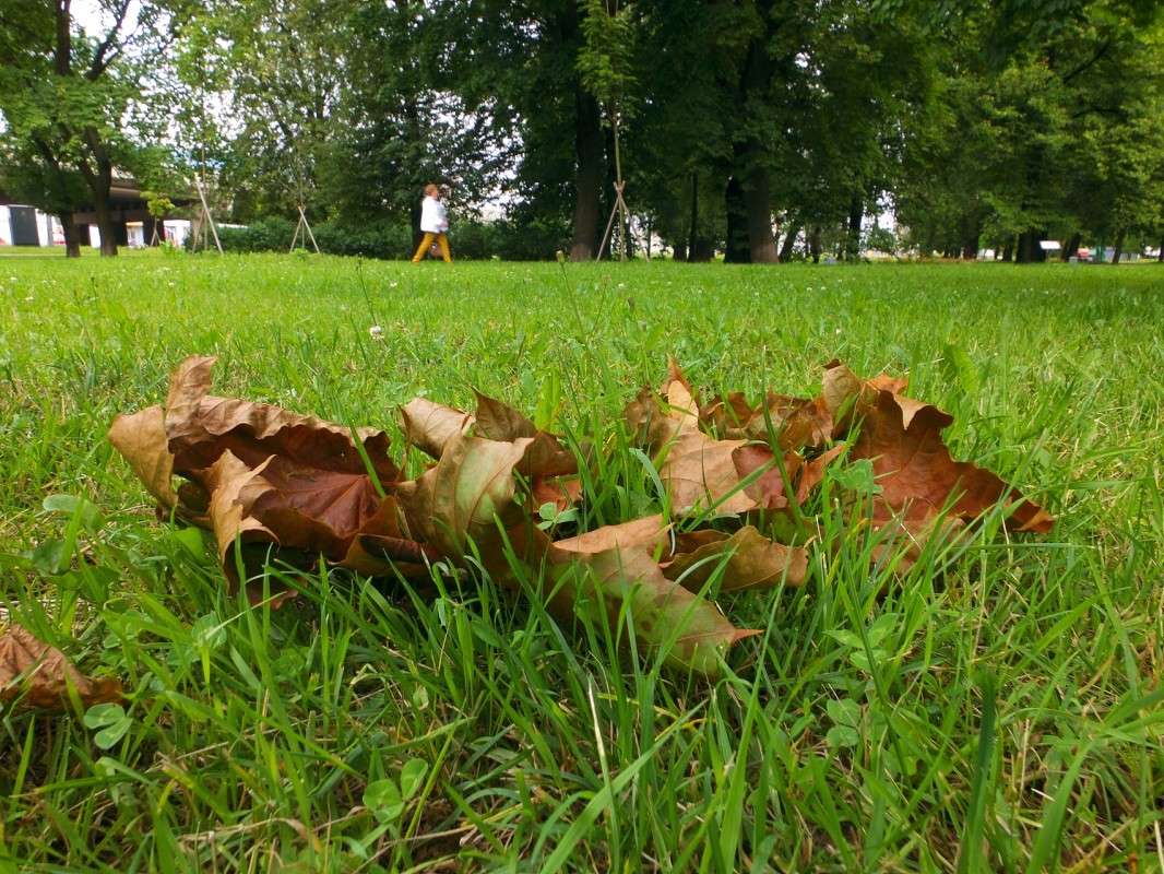 � ����� �� ������ ����� ����� ������  �� PhotoGeek.ru #������ ��� �������