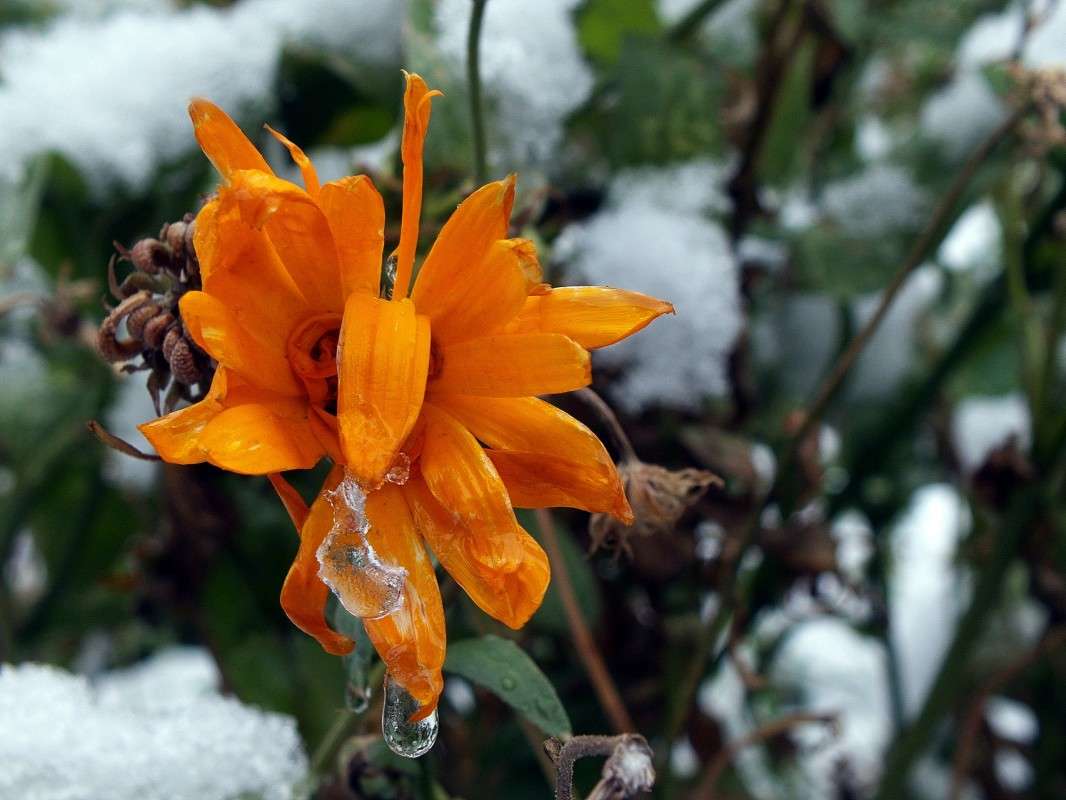 ����,������... ����� ������  �� PhotoGeek.ru #������ ��� �������