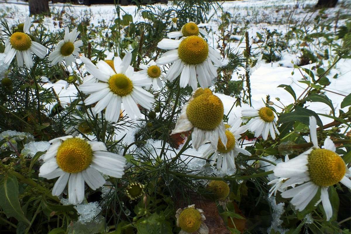 ������ ���:�� �����... ����� ������  �� PhotoGeek.ru #������ ��� �������