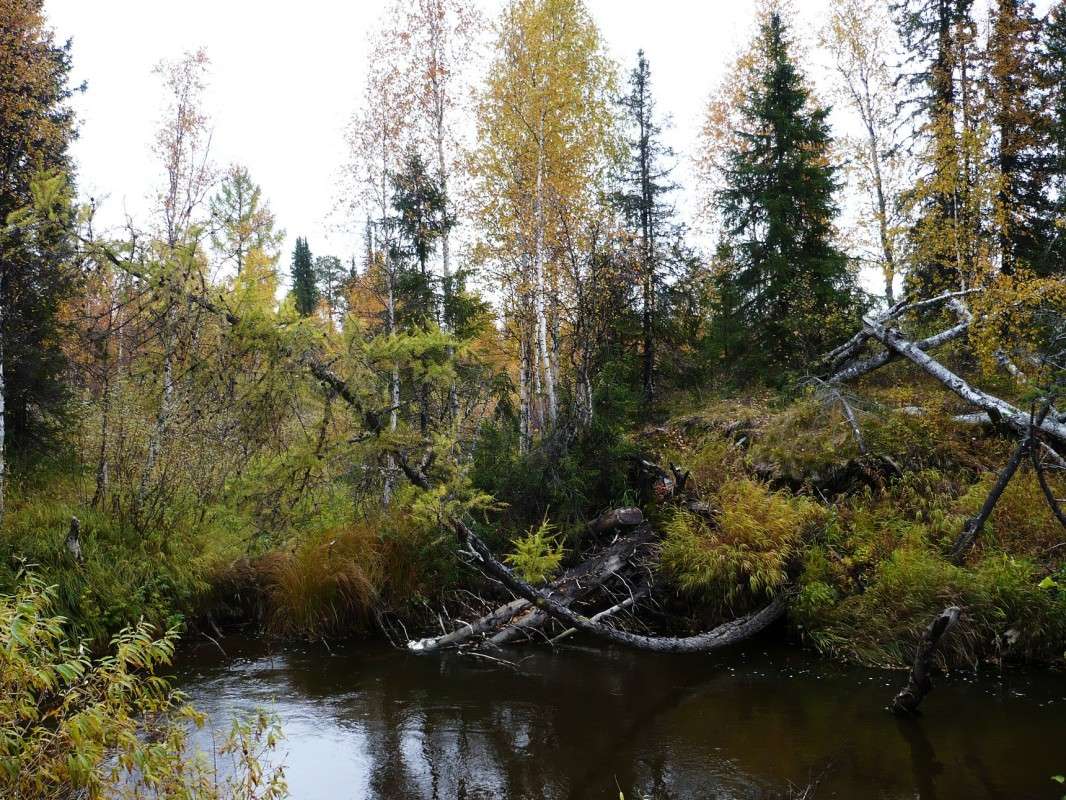 ���� ����� ������  �� PhotoGeek.ru #������ ��� �������