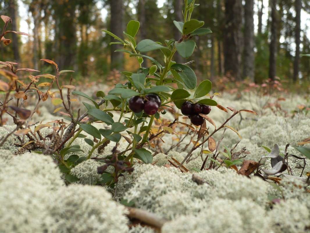 .......... ����� ������  �� PhotoGeek.ru #������ ��� �������