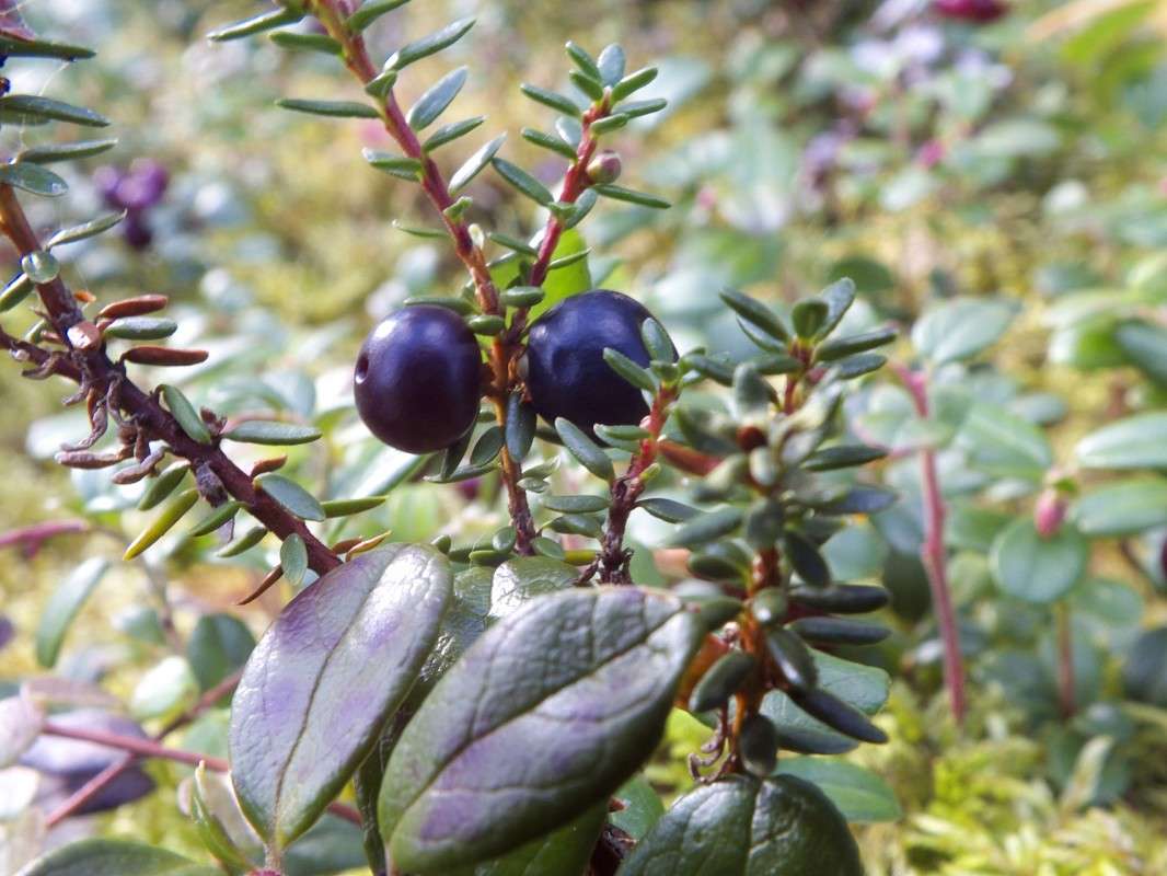 ������ ����� ������  �� PhotoGeek.ru #������ ��� �������