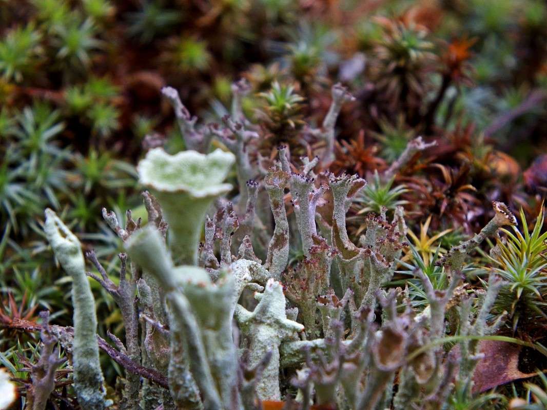 ��� ���� 2 ����� ������  �� PhotoGeek.ru #������ ��� �������