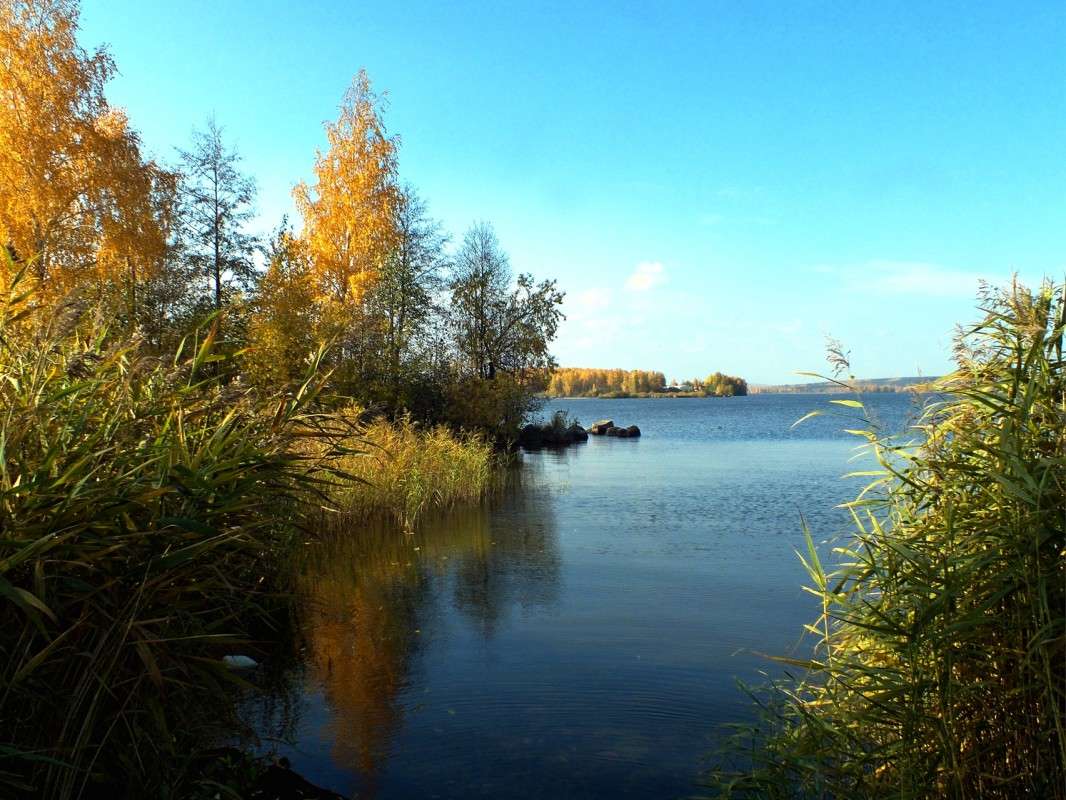 � ������ �����..... ����� ������  �� PhotoGeek.ru #������ ��� �������