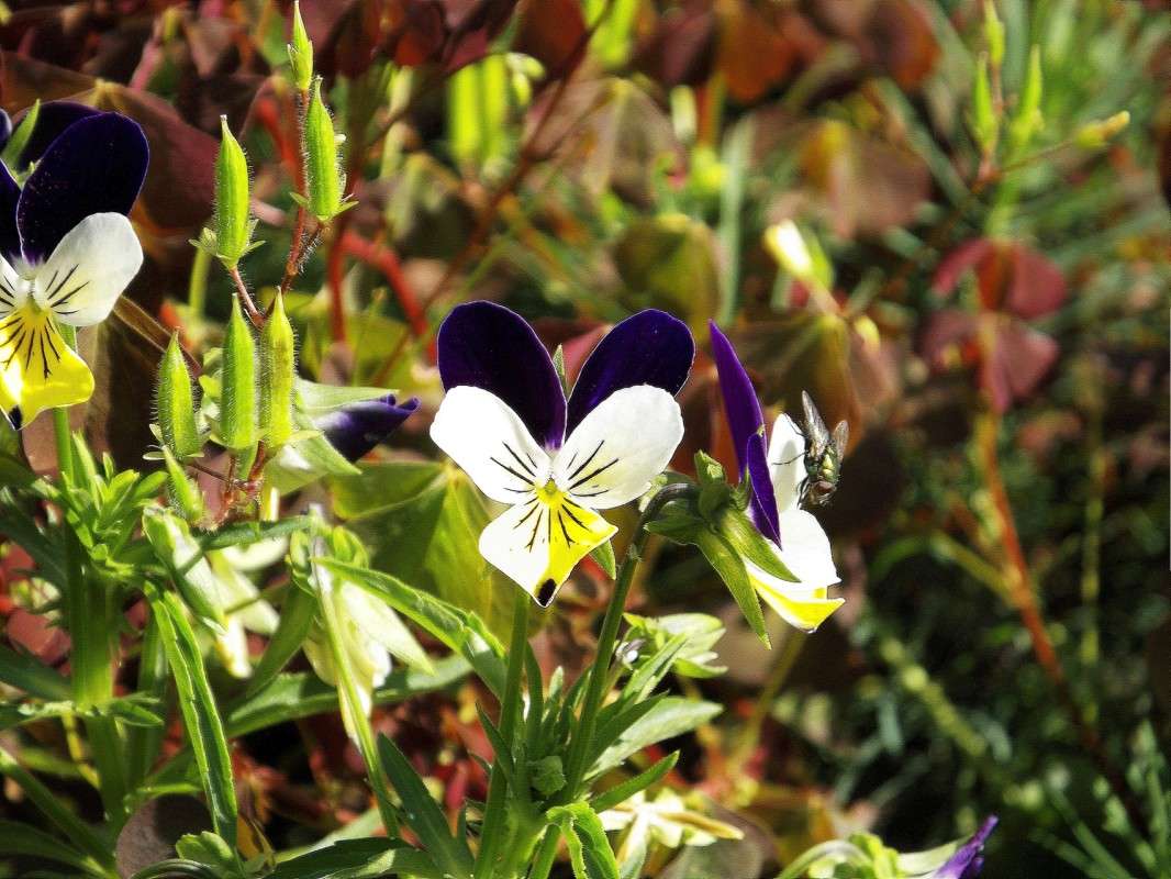 ������... ����� ������  �� PhotoGeek.ru #������ ��� �������