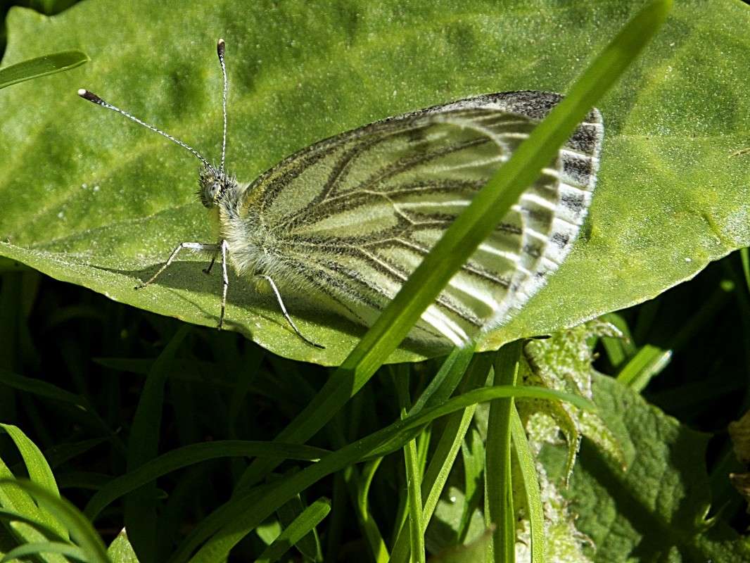 ������� ����� ������  �� PhotoGeek.ru #������ ��� �������