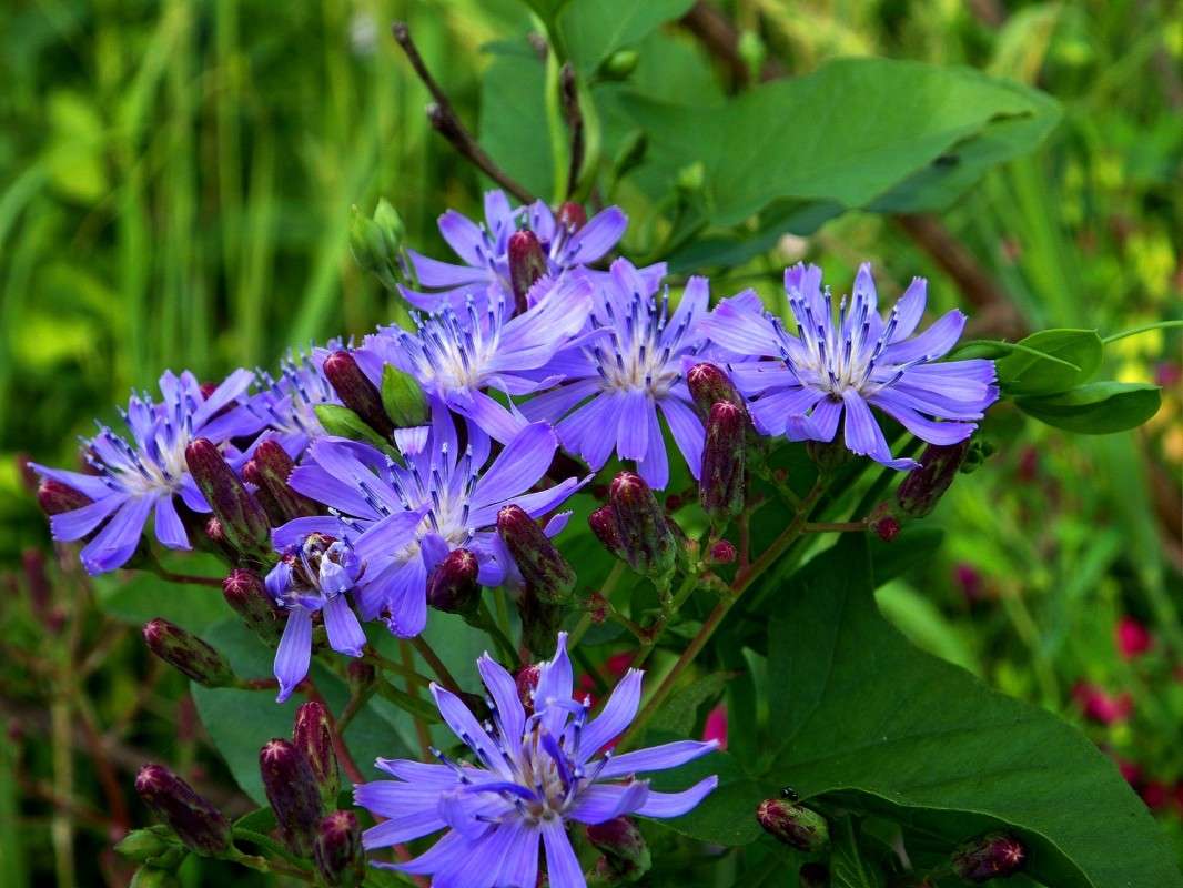 ......... ����� ������  �� PhotoGeek.ru #������ ��� �������