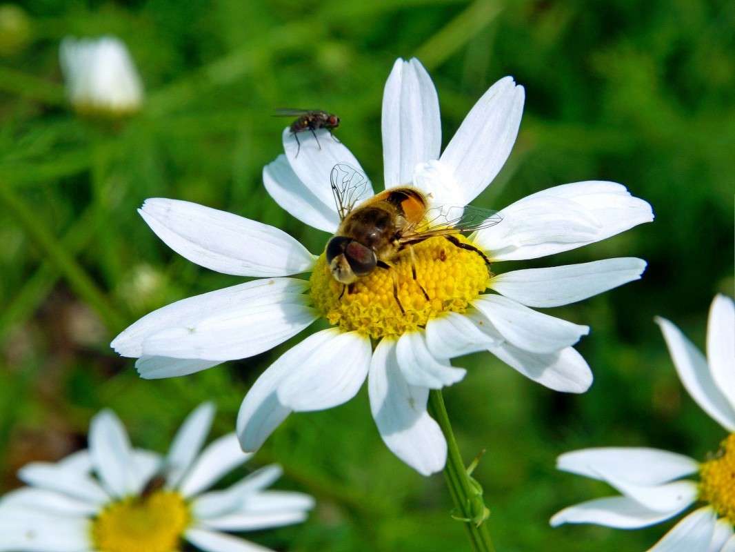 ������� ������� ����� ������  �� PhotoGeek.ru #������ ��� �������