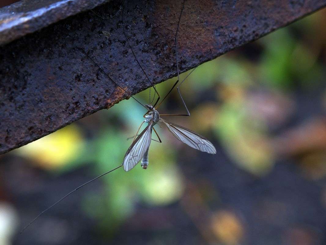 ������� ����� ������  �� PhotoGeek.ru #�����