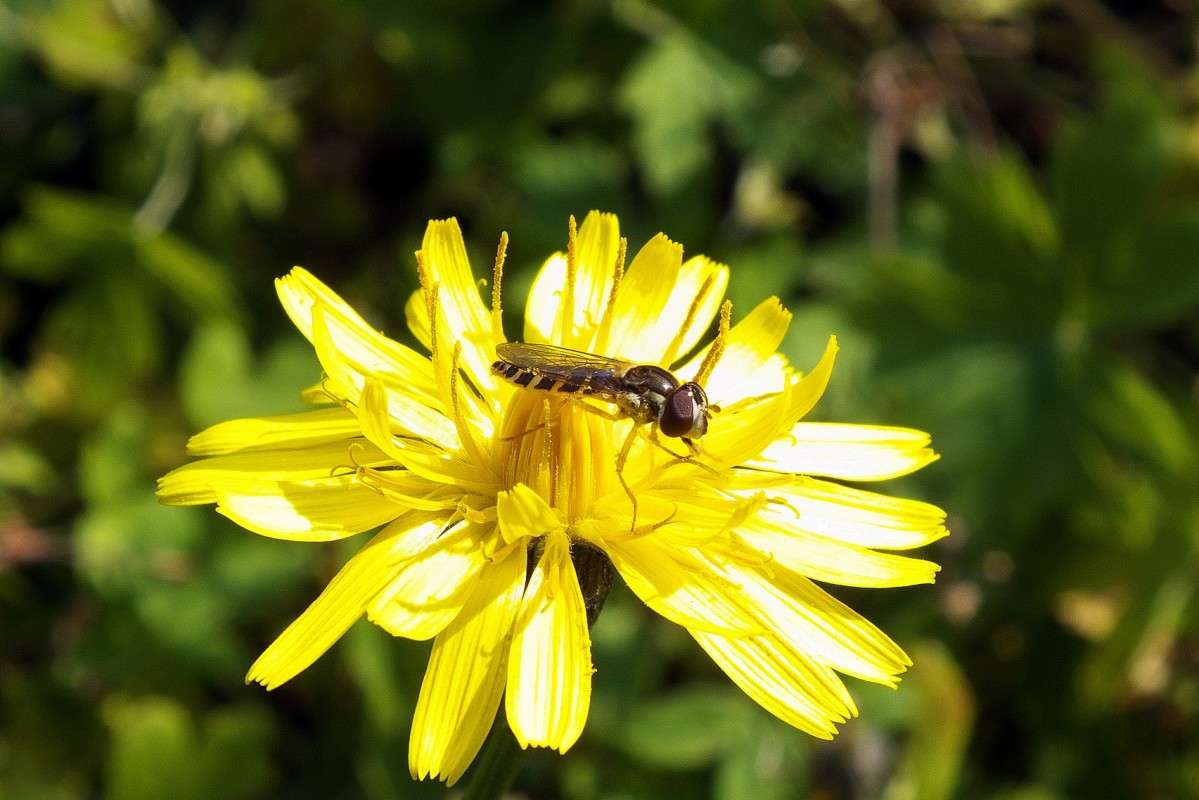 ������� ����� ������  �� PhotoGeek.ru #�����