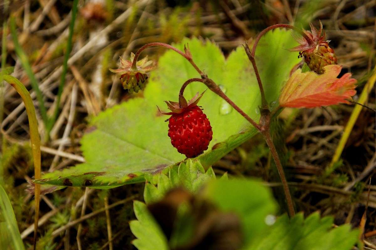 ���������� ����� ������  �� PhotoGeek.ru #������ ��� �������