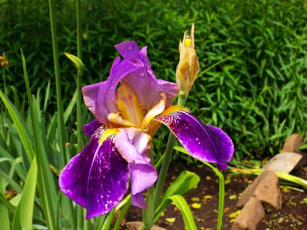 ,,,,,,,, ����� ������  �� PhotoGeek.ru #������ ��� �������