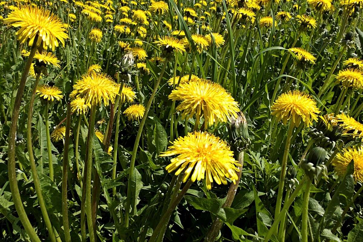 ���� �����������... ����� ������  �� PhotoGeek.ru #������ ��� �������