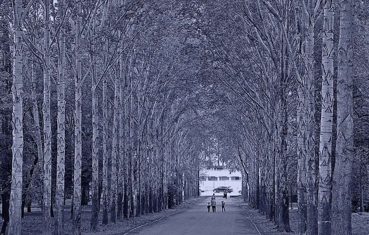 �� �����... ����� ������  �� PhotoGeek.ru #������ ��� �������