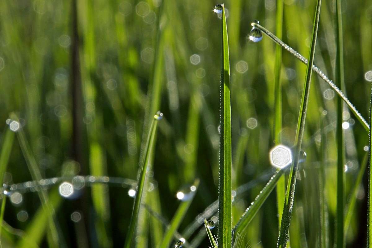 �����-������..... ����� ������  �� PhotoGeek.ru #������ ��� �������