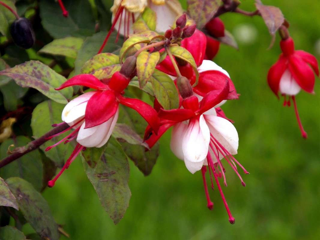 � ��� ����������? ����� ������  �� PhotoGeek.ru #������ ��� �������