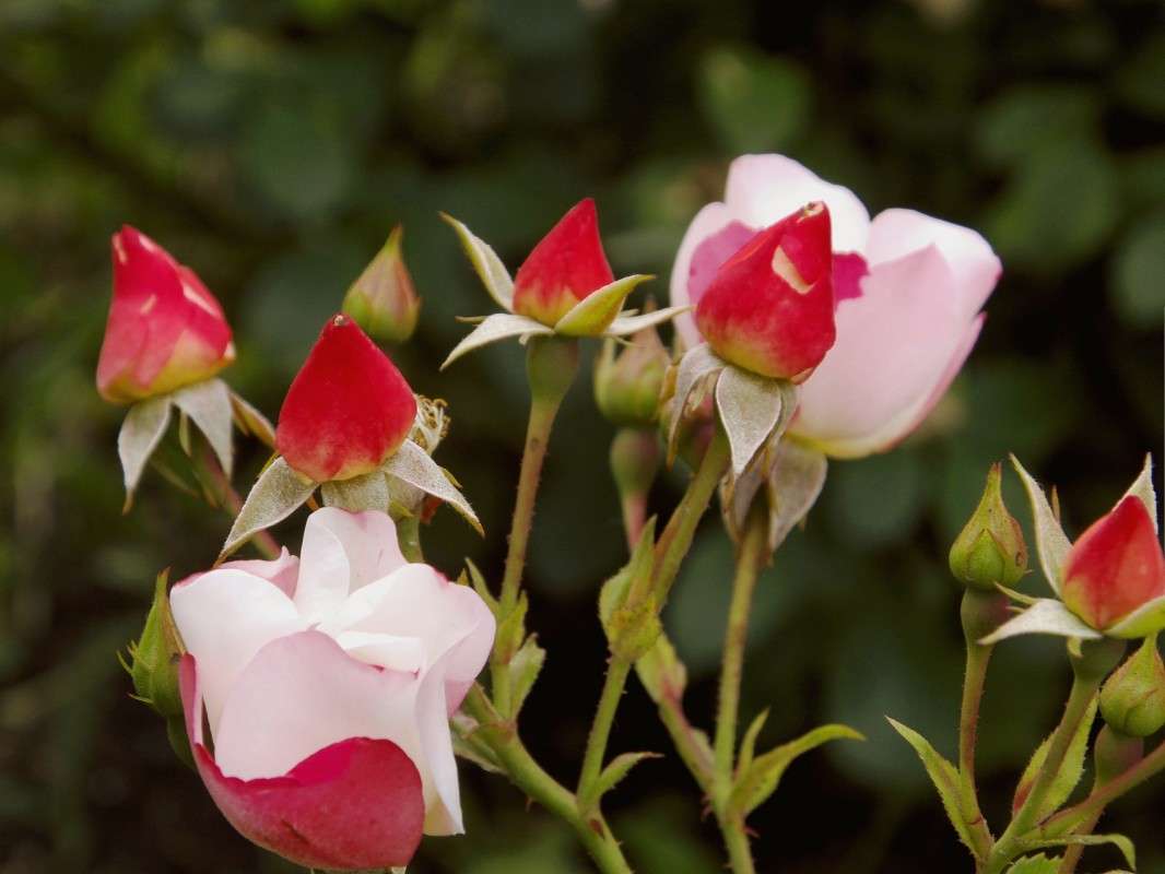 ���� � ������ ����� ����� ������  �� PhotoGeek.ru #������ ��� �������